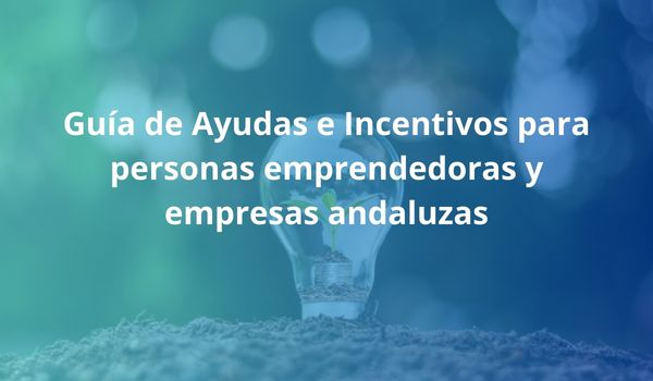 Guía de Ayudas e Incentivos para personas emprendedoras y empresas andaluzas